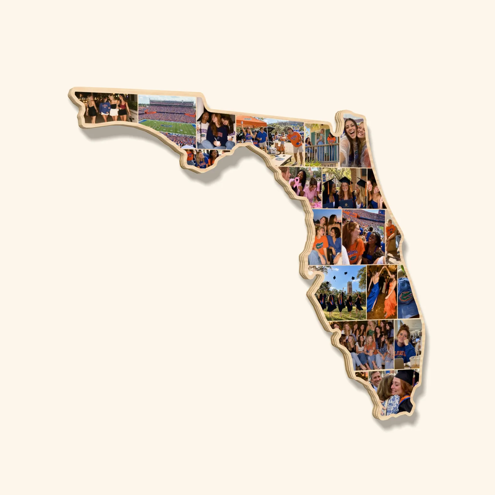 Florida photo mural